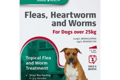 Buy Aristopet Spot-On Treatment For Dogs Over 25Kg Red | DiscountPetCare