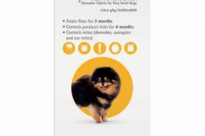 Buy Bravecto For Toy Dogs 2-4.5Kg (Yellow) Online | DiscountPetCare