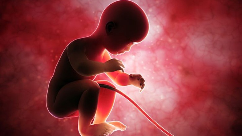What are the advantages and disadvantages of cord blood banking Services? Why is it so popular in the medical field?