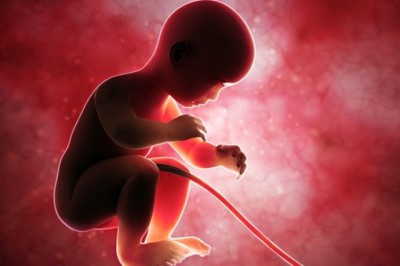 What are the advantages and disadvantages of cord blood banking Services? Why is it so popular in the medical field?