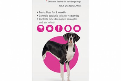 Buy Bravecto For Extra Large Dogs 40-56Kg (Pink) Online | DiscountPetCare