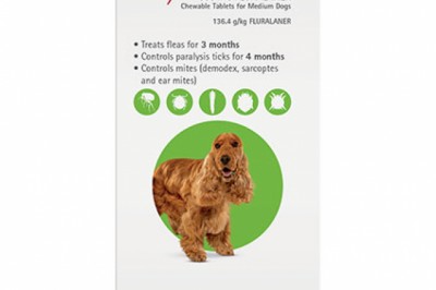 Buy Bravecto For Medium Dogs 10-20Kg (Green) Online | DiscountPetCare
