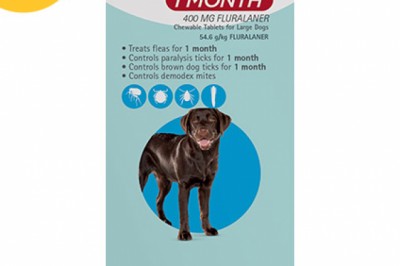 Buy Bravecto For Large Dogs 20-40Kg (Blue) Online | DiscountPetCare
