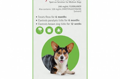 Buy Bravecto Spot On For Medium Dogs 10-20 Kg Green | DiscountPetCare