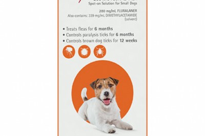 Buy Bravecto Spot On For Small Dogs 4.5-10 Kg Orange | DiscountPetCare
