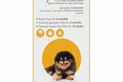 Buy Bravecto Spot On For X-Small Dogs 2-4.5 Kg Yellow | DiscountPetCare