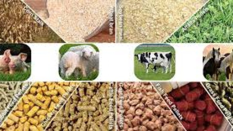 Global Animal Nutrition Market by Product Type bySpecies Market by Application by Geographyand forecast 2021-2027