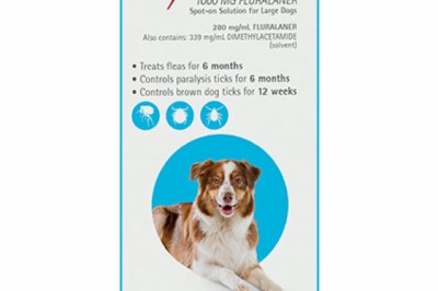 Buy Bravecto Spot On For Large Dogs 20-40 Kg Aqua | DiscountPetCare