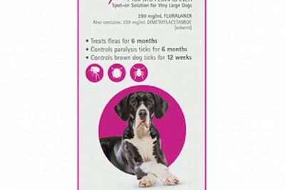 Buy Bravecto Spot On For X Large Dogs 40-56 Kg Pink | DiscountPetCare