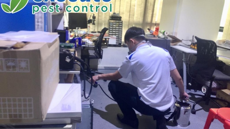 How To Get Rid Of Termites With Termites Treatment Singapore?