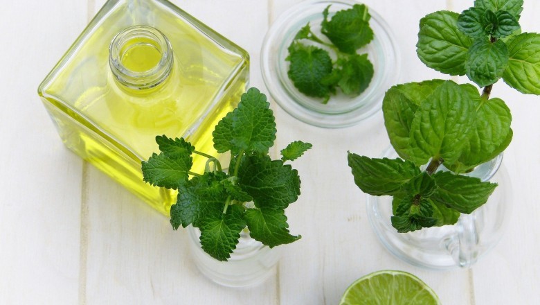 Peppermint Oil Market - Global Industry Analysis 2024