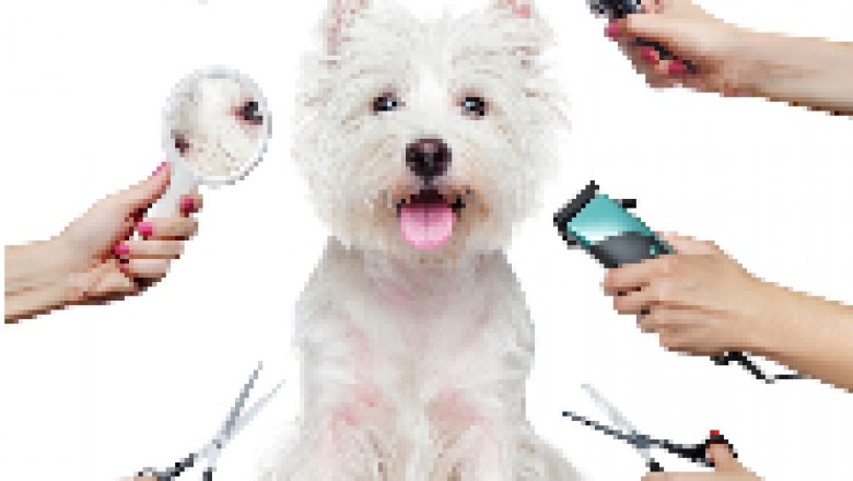 private dog training services macomb township