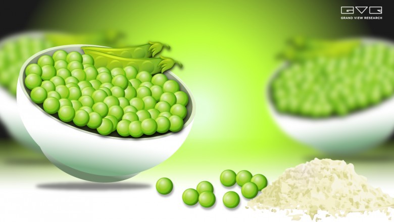 Pea Protein Market – Industry Insights by Product and Application