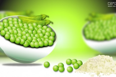 Pea Protein Market – Industry Insights by Product and Application