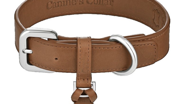 The best dog collars for your dog to look elegant and attractive: