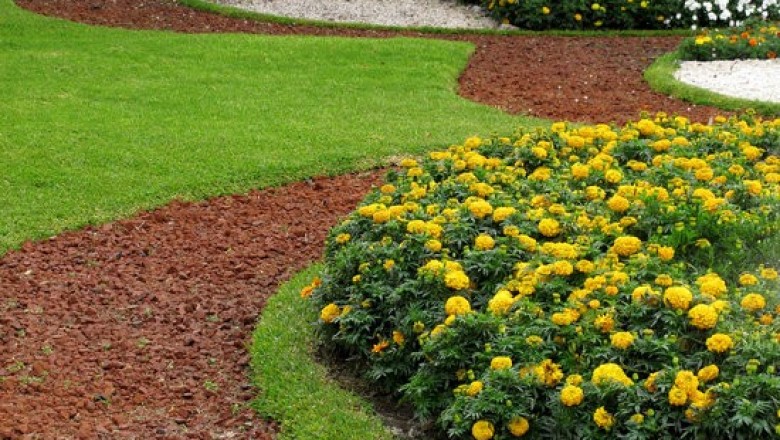Best Katy Landscapers | Award-Winning Services