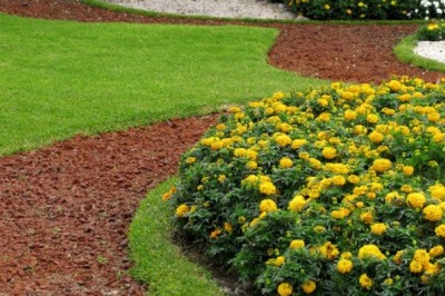 Best Katy Landscapers | Award-Winning Services