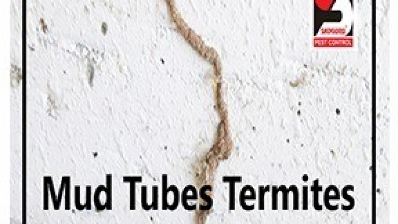 Pest Control Services in Andheri by Sadguru Pest Control