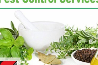 Pest Control Services in Bandra by Sadguru Pest Control