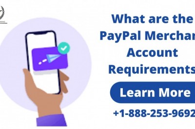What are the PayPal Merchant Account Requirements?