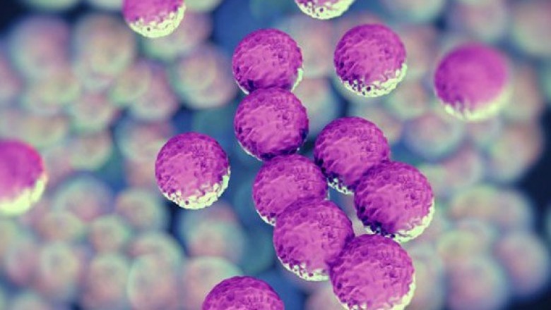 Adenylate Kinase Activity Detects Bacteria in Rapid Non-molecular Methicillin Resistant Staphylococcus Aureus (MRSA) Testing Systems