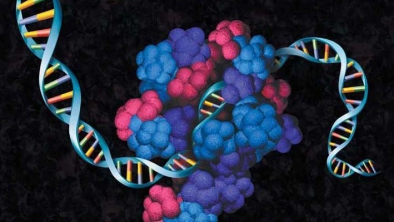 Cell-free Protein Expression Market - Size, Share, Outlook, and Opportunity Analysis, 2019 – 2027