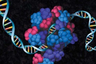 Cell-free Protein Expression Market - Size, Share, Outlook, and Opportunity Analysis, 2019 – 2027