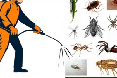 Global Pest Control Services Market Size, Status and Forecast 2021-2027