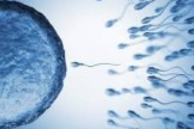 How Couples Struggling with Infertility Can Keep the Spark?