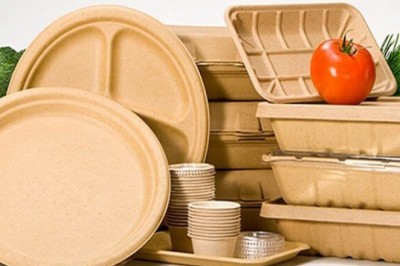 In Europe, biodegradable foodservice disposables are the largest industry in the worldwide foodservice disposable market.