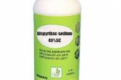 Bispyribac Sodium Market Outlook And Opportunities In Grooming Regions