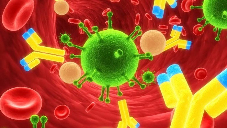 Global Biopharmaceutical Bioseparation Systems Market Report 2020 - Market Size, Share, Price, Trend and Forecast
