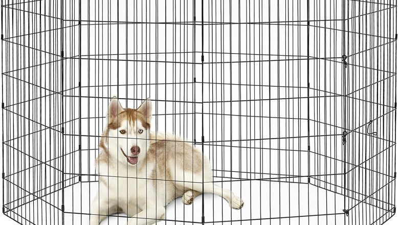 Portable Dog Fences