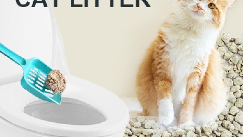 Professional Cat Litter Factory