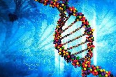 Adoption Of Genome Engineering Market To Increase Across Top Countries In The Globe During 2025