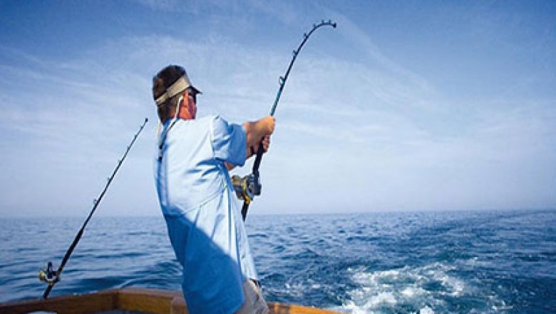 Book A Cheap Fishing Trip Dubai