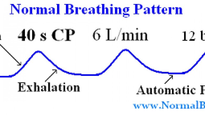 Normal Respiratory Frequency and Ideal Breathing