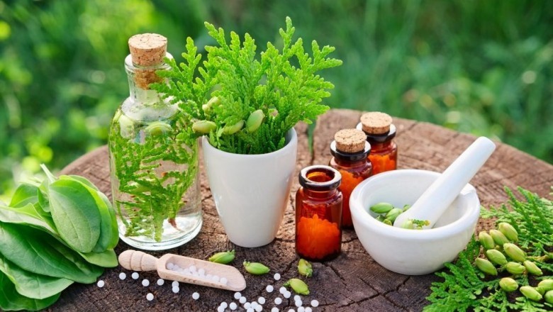 Botanical and Plant Drug Market - Global Outlook and Forecast 2021-2027