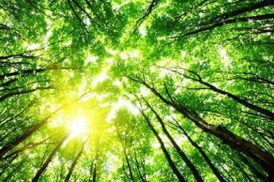 Renewable Methanol Market Outlook And Opportunities In Grooming Regions