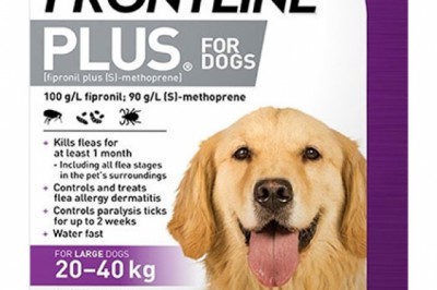 Buy Frontline Plus For Large Dogs Purple Online | DiscountPetCare