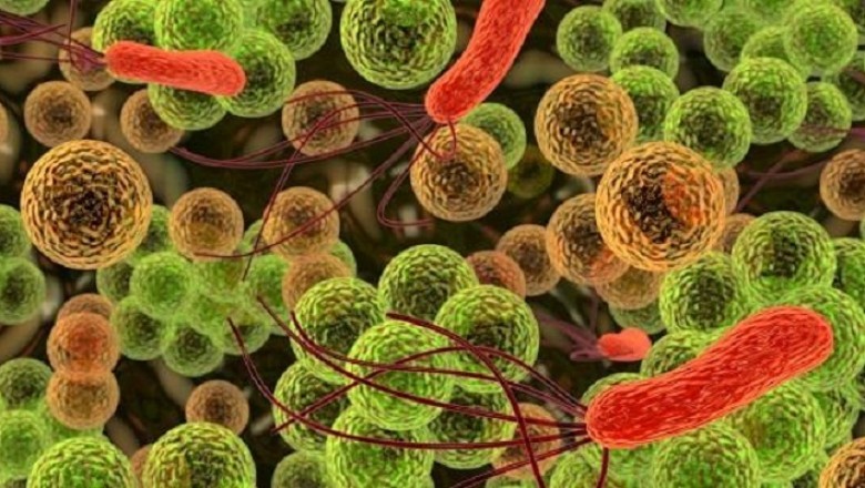 Endocarditis Drug Industry : Trends, Size, Share, Demand, Analysis, Industry Growth and Competitive Landscape Endocarditis Drug Industry : Trends, Size, Share, Demand, Analysis, Industry Growth and Competitive