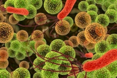 Endocarditis Drug Industry : Trends, Size, Share, Demand, Analysis, Industry Growth and Competitive Landscape Endocarditis Drug Industry : Trends, Size, Share, Demand, Analysis, Industry Growth and Competitive