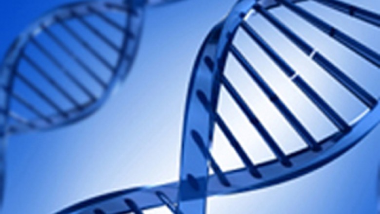 Global and Japan DNA Diagnostics/Testing Market Size, Status and Forecast 2021-2027