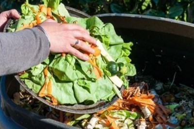 Global Food Waste Management Market Report 2020 - Market Size, Share, Price, Trend and Forecast