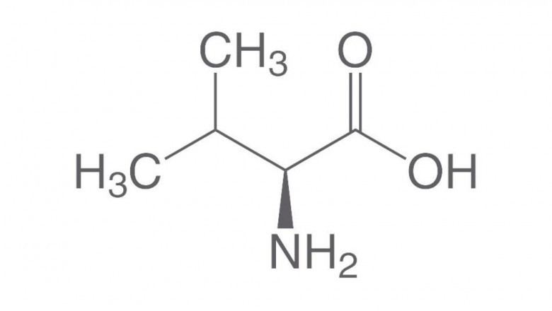 Global Valine Market Size, Manufacturers 2021-2027
