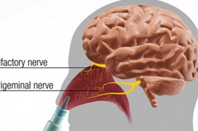 Growing Industry of Nasal Drug Delivery Market | Estimated to Reach High CAGR | Top Key Players – J&J, BD, 3M, GSK, Merck
