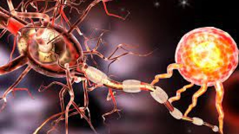 Neurodegenerative Disease Treatment Market | Key drivers and restraints impacting market growth
