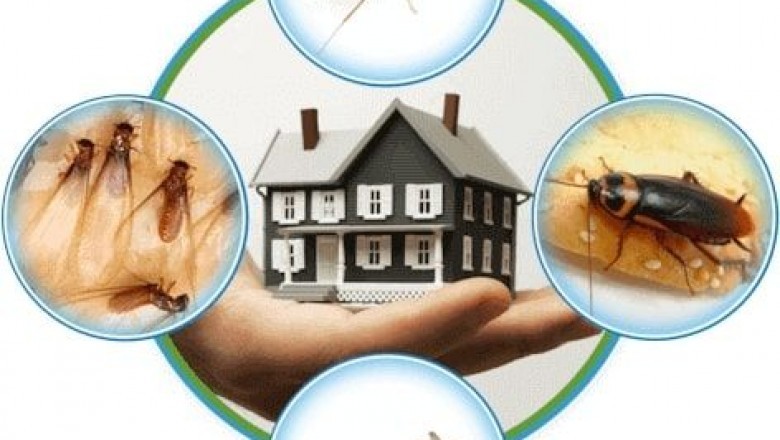 pest control services in hyderabad