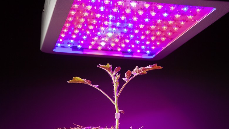 This LED Lighting Horticulture is a boon for gardeners as they can use this lighting technology for a long time.