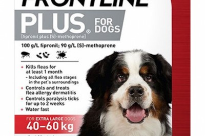 Buy Frontline Plus For Extra Large Dogs Red Online | DiscountPetCare